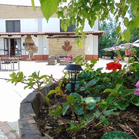 San Marco Evangelista Casale Rurale B&B 외부 사진