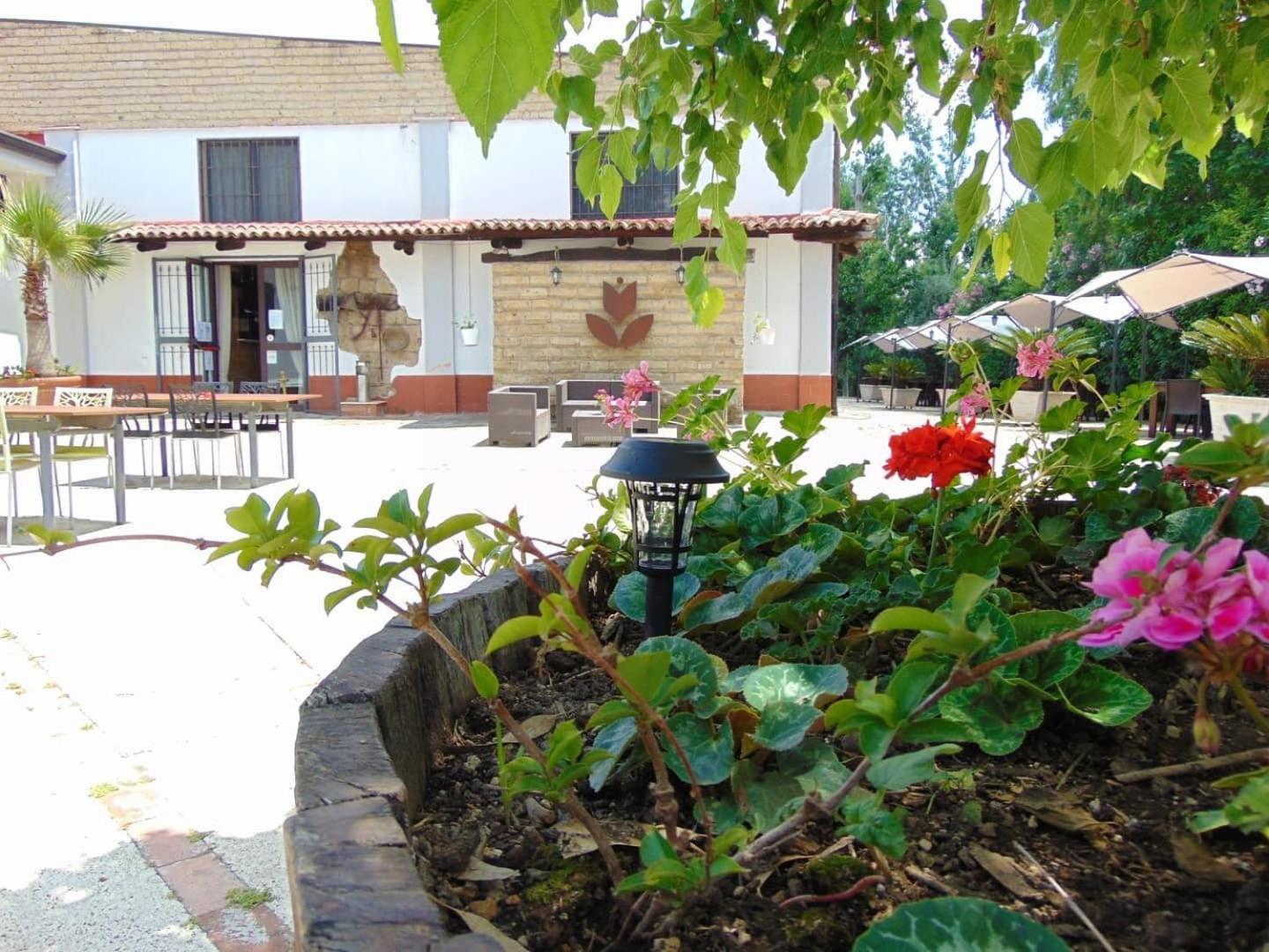 San Marco Evangelista Casale Rurale B&B 외부 사진