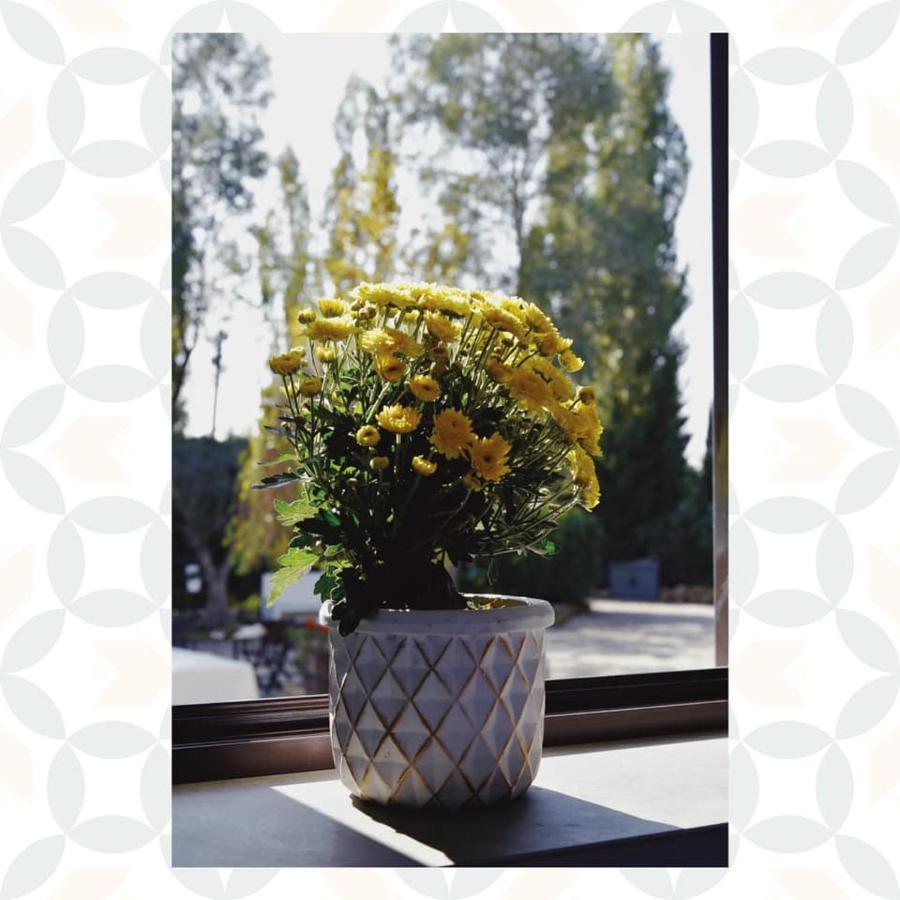San Marco Evangelista Casale Rurale B&B 외부 사진
