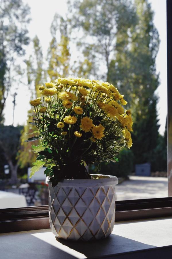San Marco Evangelista Casale Rurale B&B 외부 사진